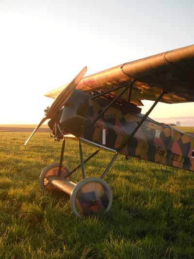 Adreamgetswings(61)klein.jpg (40193 Byte)