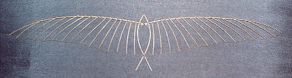 1:15 scale model of the Model Gull