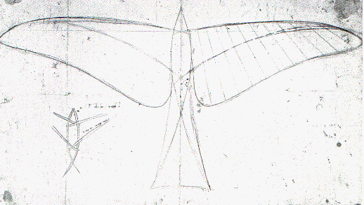 Original sketch by Otto Lilienthal